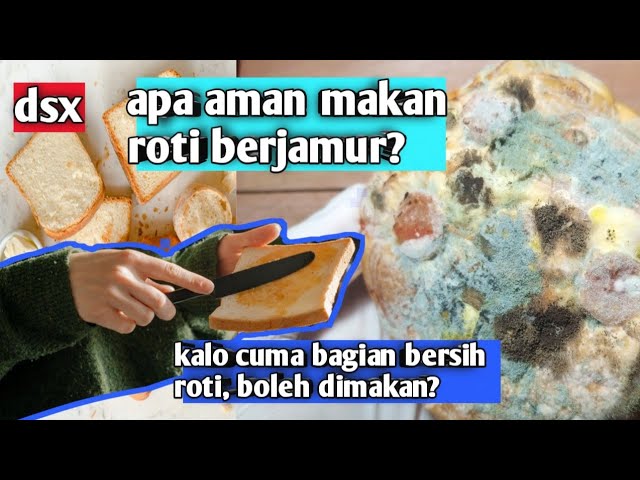 Boleh Gak Sih Makan Roti Yang Berjamur Id