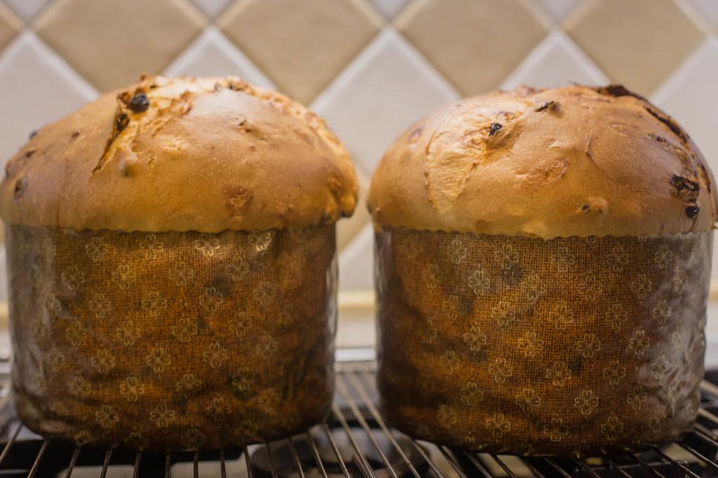 panettone