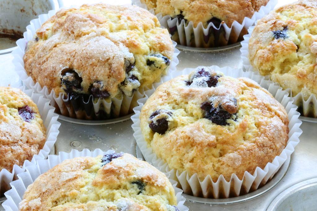 muffin paling populer di dunia