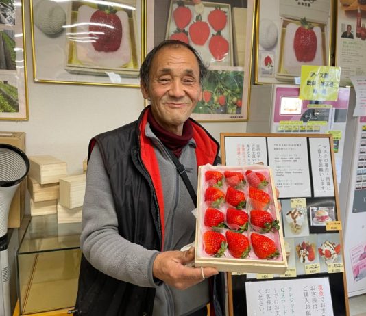 Bijin Hime Strawberry Cantik yang Harganya Setara Emas bijin hime strawberry