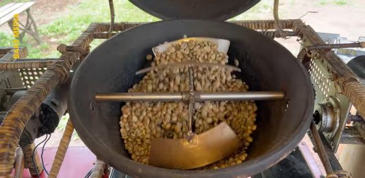 Patani Coffee: Brand Kopi Lokal Bogor dengan Roasting Tanah Liat dan Sistem Farmer Sharing